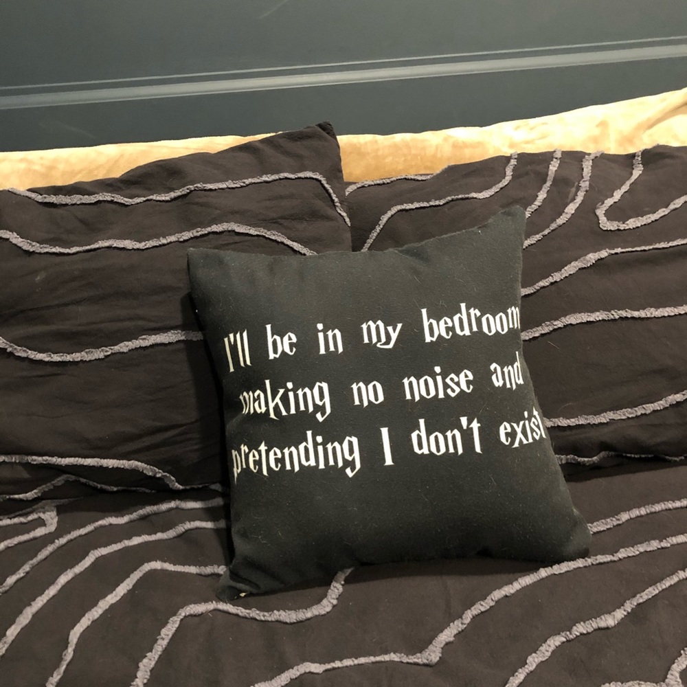 Harry Potter pillow
